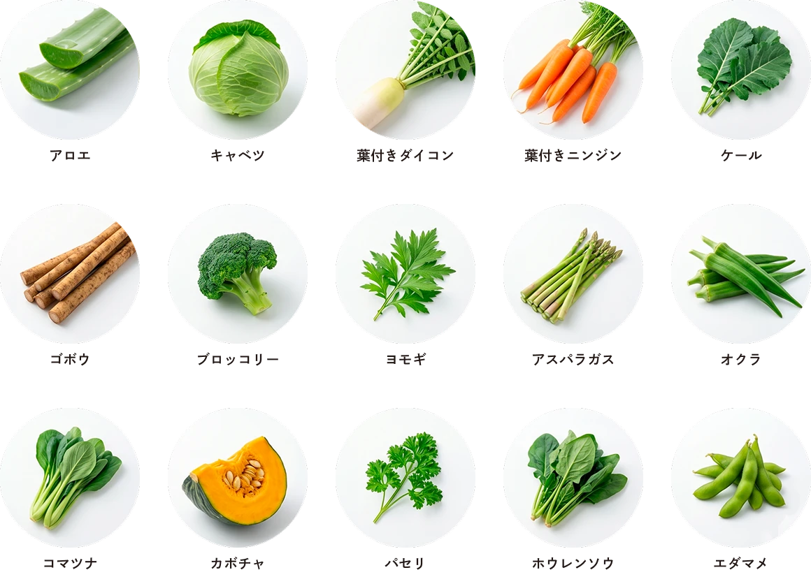 国産野菜15種類
