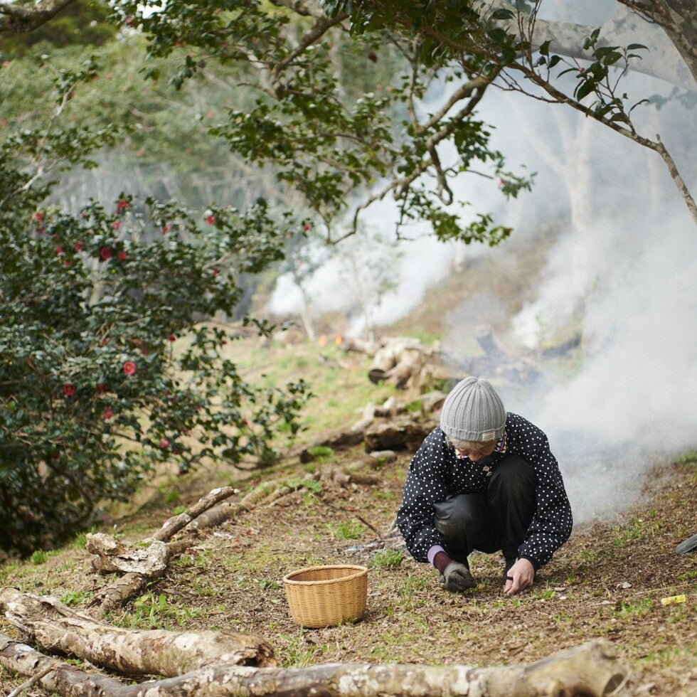 特別な土の力を宿し、
守り育てられてきた利島の椿産業
