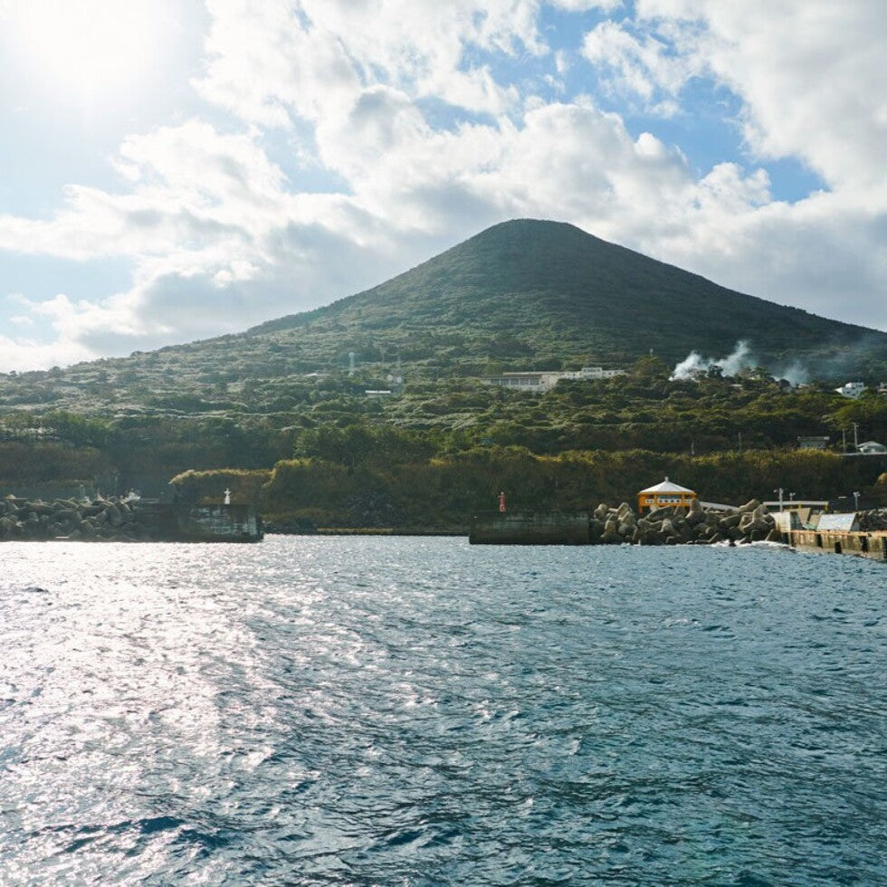 東京にある、椿の楽園。
穏やかな時間が流れる小さな島