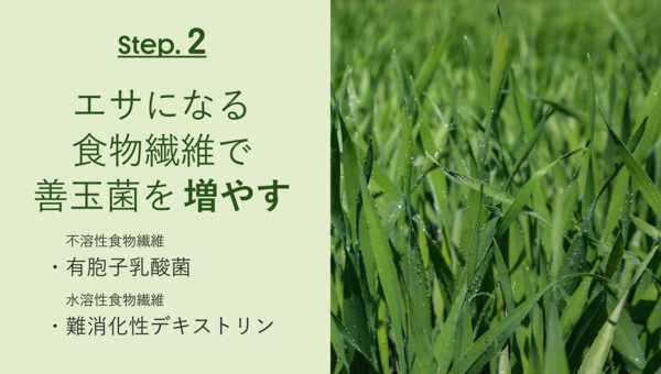 Step. 2
エサになる食物繊維で
善玉菌を増やす
