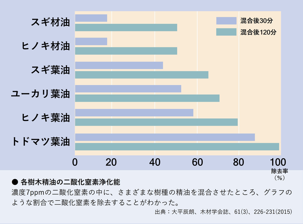 空気を美しく整えるフィトンチッドの科学