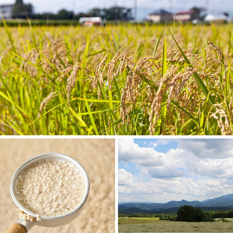 コメ・クワ麹発酵エキス
